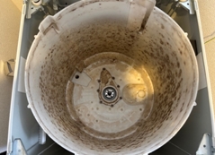 クリーニング前