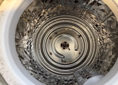 クリーニング前